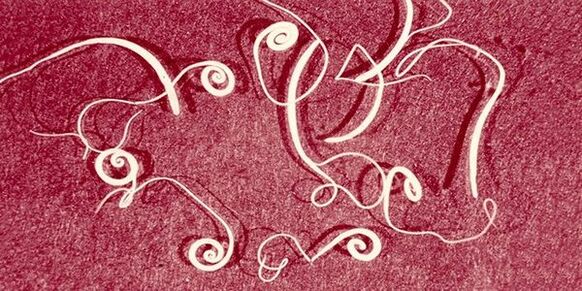 Lombrices intestinales del cuerpo humano