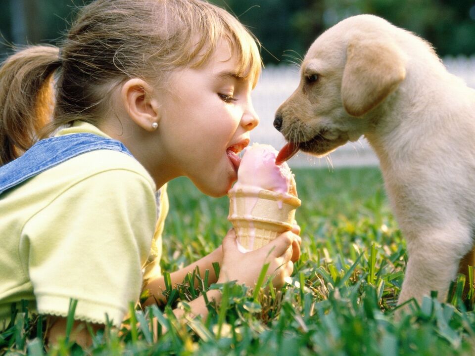 Niña y perro infectados con parásitos después de comer helado